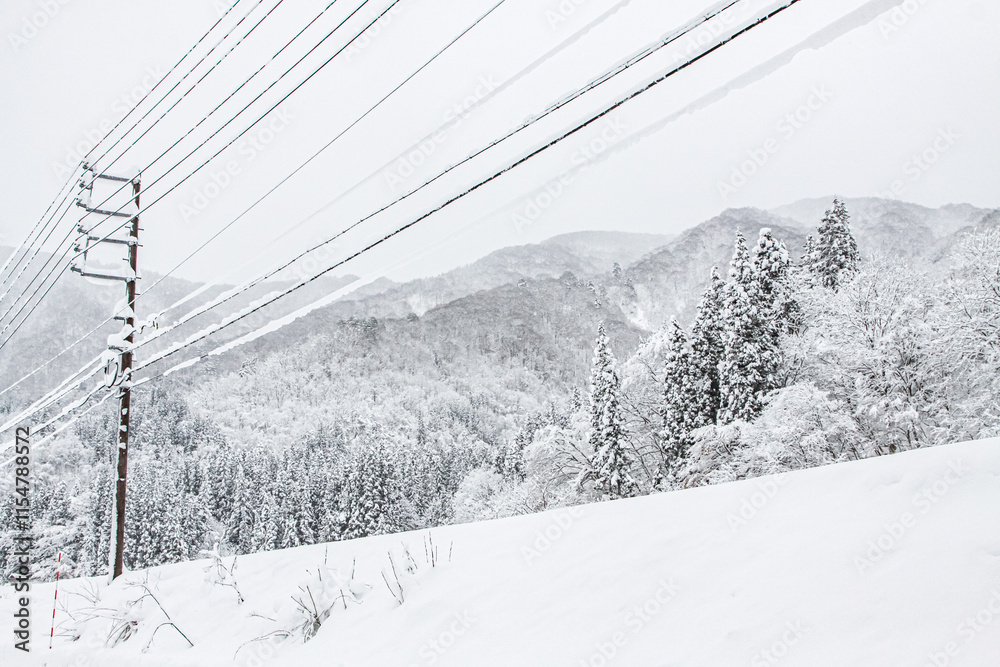 Obraz premium Snow-Covered Power Lines in Winter, Shirakawa-go, Japan