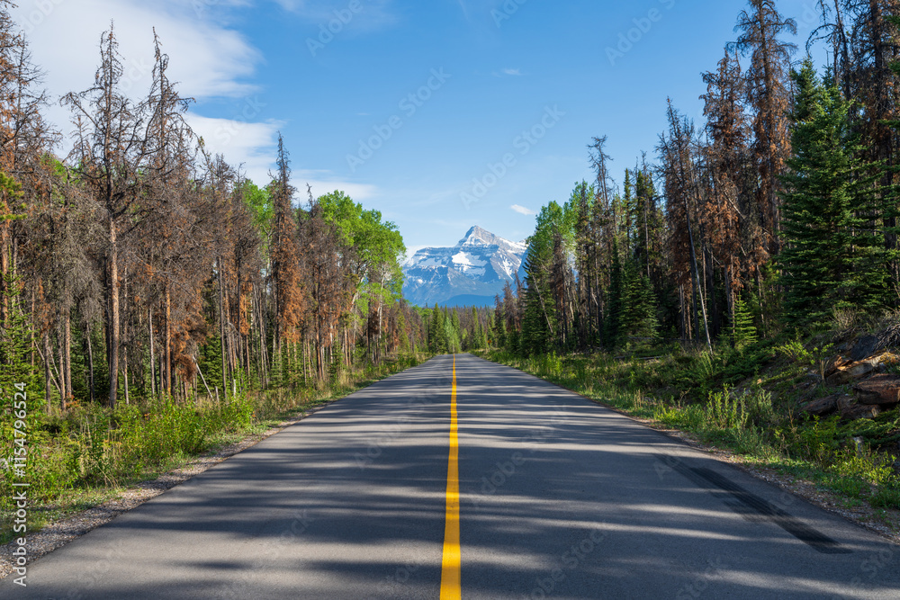 Highway 93A in Jasper National Park, Alberta, Canada. Canadian Rockies summer landscape. Brussels Peak in the background. Highway 93A in Jasper National Park, Alberta, Canada. Canadian Rockies summer landscape. Brussels Peak in the background.