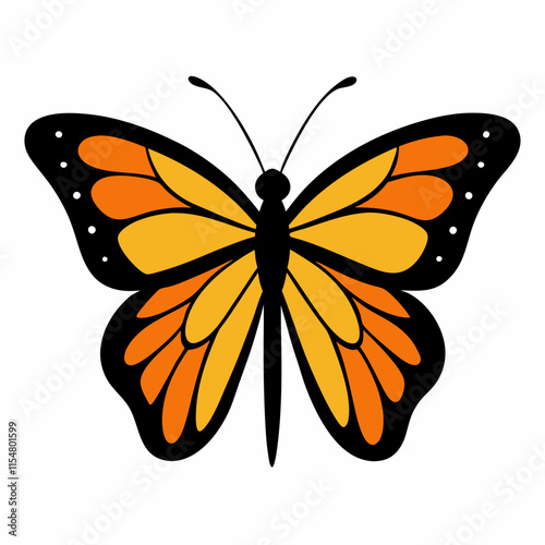 butterfly illustration