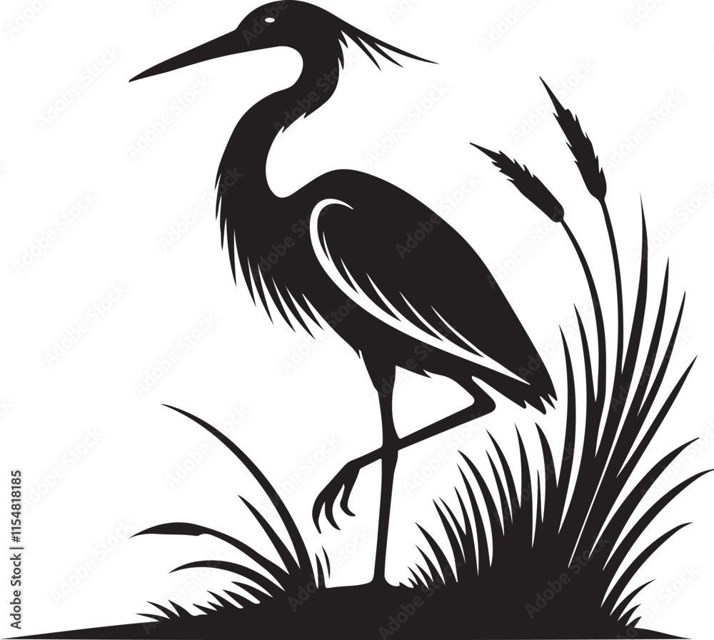Fototapeta premium A buck bird silhouette