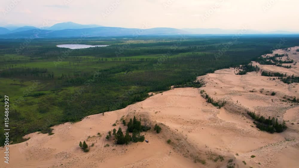 Aerial view of desert dunes meeting lush forest and distant mountains