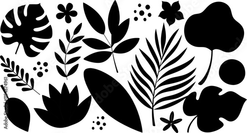 Set of black silhouettes of tropical leaves vector