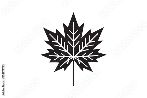 simple black an white mapple leaf vector silhouette isolated on a white background