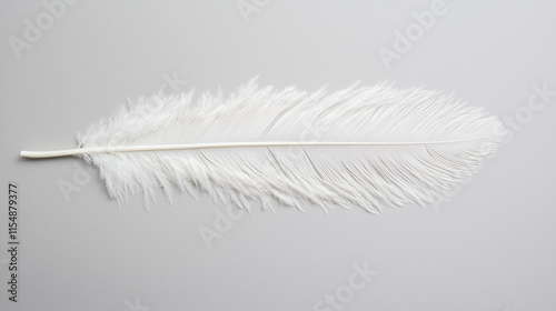 Single White Ostrich Feathe...