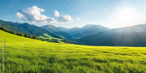 Sunny Green Field with Distant Mountains