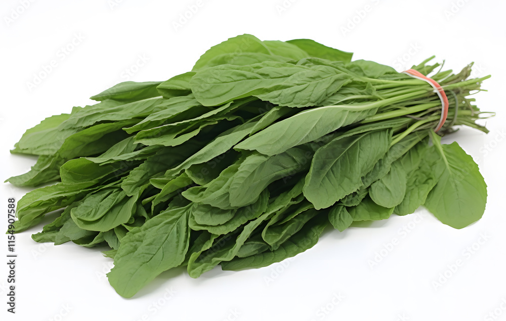Green vegetables on white background perfect for culinary, herbal. Green vegetables on white background perfect for culinary, herbal.