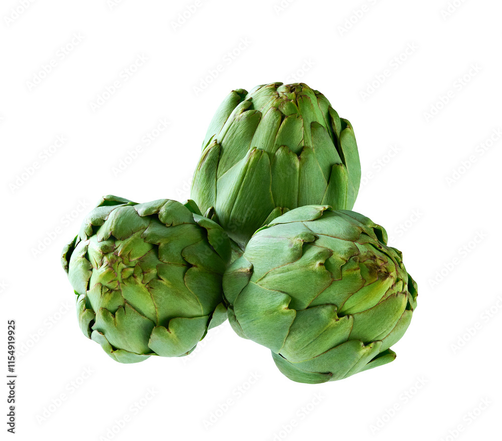 Fototapeta premium Freshly harvested green artichoke isolated on a white background.