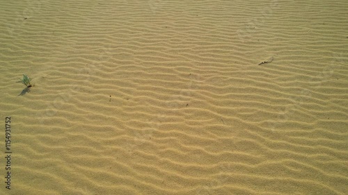 Slow drone flight over rippled sand towards track marks