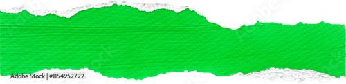 Green and White Painted Ripped Paper Piece