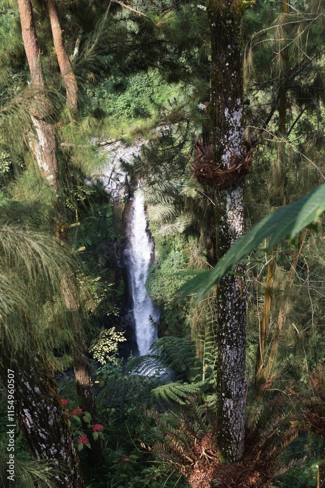 Fototapeta premium The majestic Kedung Kayang Waterfall in Magelang, Central Java, Indonesia, offers a perfect escape into nature.