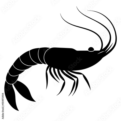 shrimp illustration