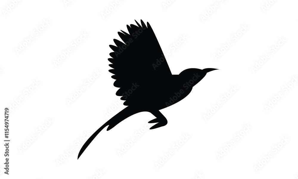 Fototapeta premium Flying Sunbird Silhouette Design And Vector Illustration. 