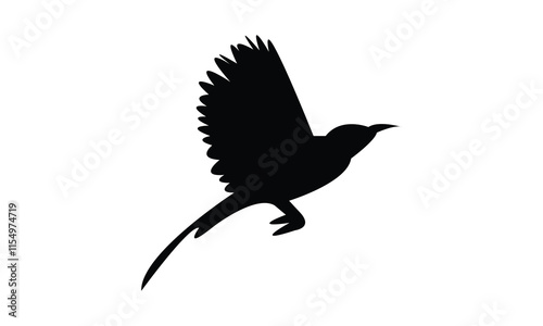 Flying Sunbird Silhouette Design  And Vector Illustration. 