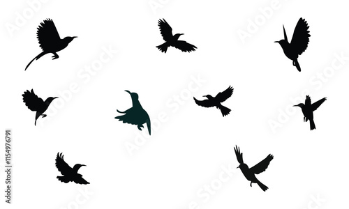 Flying Sunbird Silhouette Design  And Vector Illustration. 