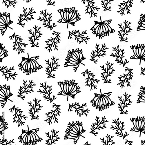 pattern is dill and cumin, twigs and flowers. Culinary herbs and spices, hand-drawn. Seamless grass is chaotic. A black outline on a white. Vector illustration. Seasonings, spices, food additives