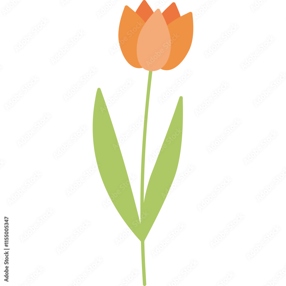 Obraz premium flower illustration minimal style on transparent background