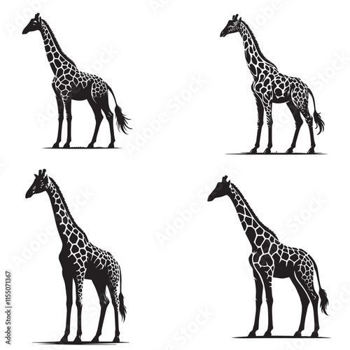 4 Illustrated Silhouettes of Majestic Standing Giraffes Isolated on a White Background Showcasing Grace and Elegance