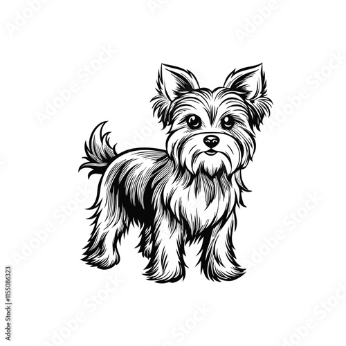 Breed Yorkshire Terrier. Portrait of a dog on a dark vector icon isolated on white background