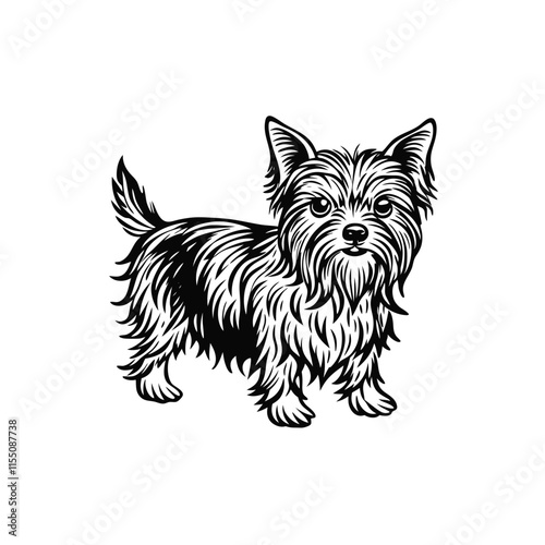 Dog breed Yorkshire terrier Vector illustration White Background