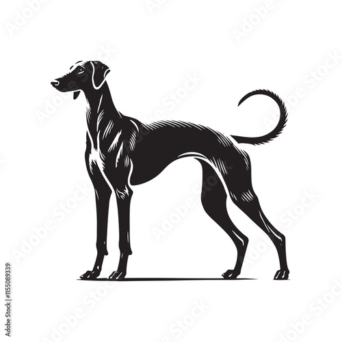 American Staghound Vector - Minimalist Design - American Staghound Silhouette - Illustration of Dog.