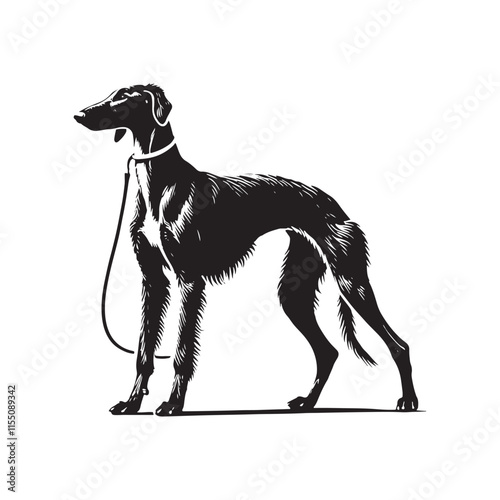 American Staghound Vector - Minimalist Design - American Staghound Silhouette - Illustration of Dog.