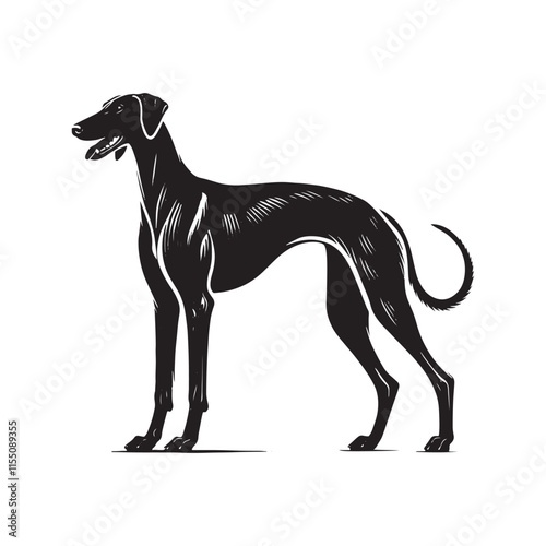 American Staghound Vector - Minimalist Design - American Staghound Silhouette - Illustration of Dog.