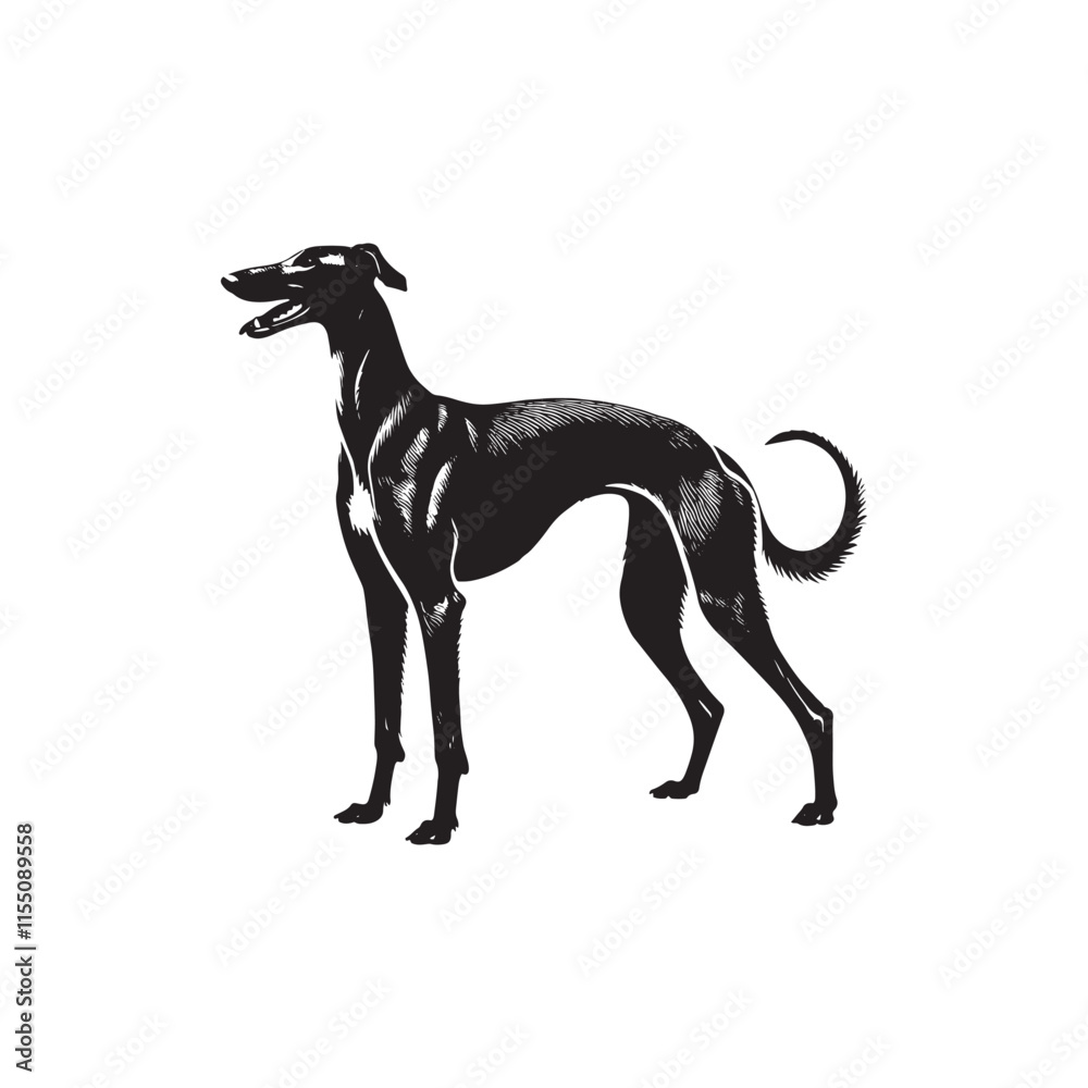 Obraz premium American Staghound Vector - Minimalist Design - American Staghound Silhouette - Illustration of Dog.