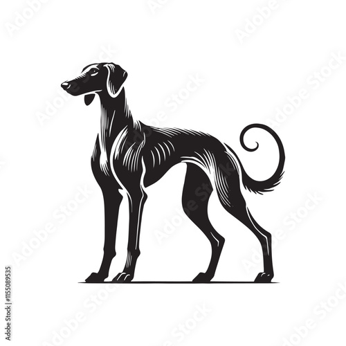 American Staghound Vector - Minimalist Design - American Staghound Silhouette - Illustration of Dog.