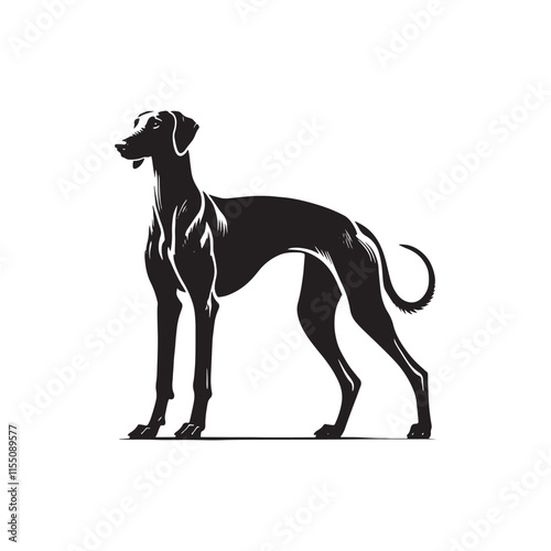 American Staghound Vector - Minimalist Design - American Staghound Silhouette - Illustration of Dog.
