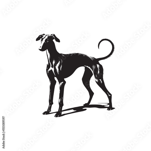 American Staghound Vector - Minimalist Design - American Staghound Silhouette - Illustration of Dog.