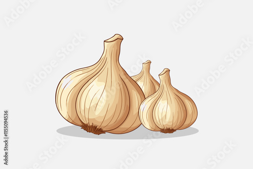 Vector Illustration Of Garlic Vegetables Isolated on White Background.
