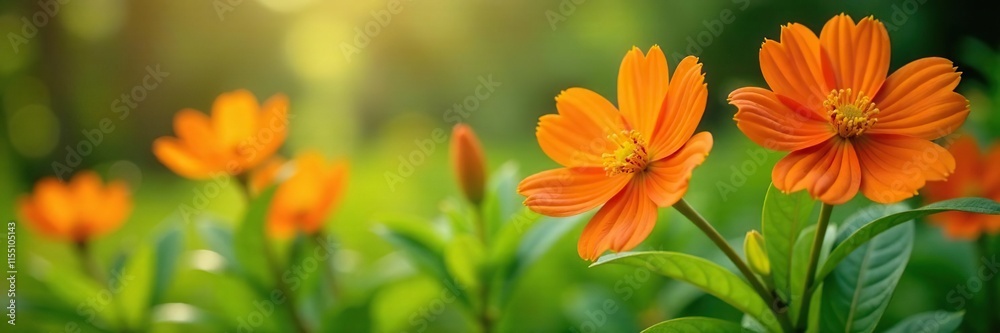 Orange Alstroemeria flowers and green leaves in a garden landscape, sunlight, flowers in garden, garden Orange Alstroemeria flowers and green leaves in a garden landscape, sunlight, flowers in garden, garden