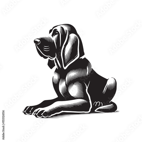 Silhouette of Bloodhound - Bloodhound Vector - Illustration of Bloodhound.