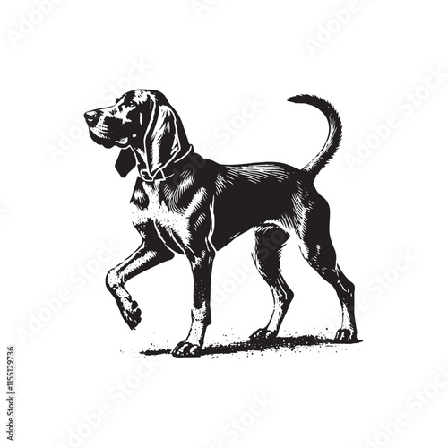 Bluetick Dog Silhouette - Illustration of Dog - Minimalist Design Of Dog - Dog Vector.