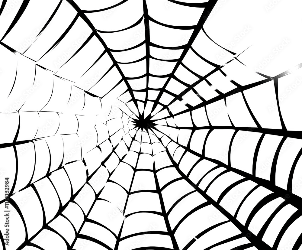 Obraz premium Intricate spider web with delicate patterns