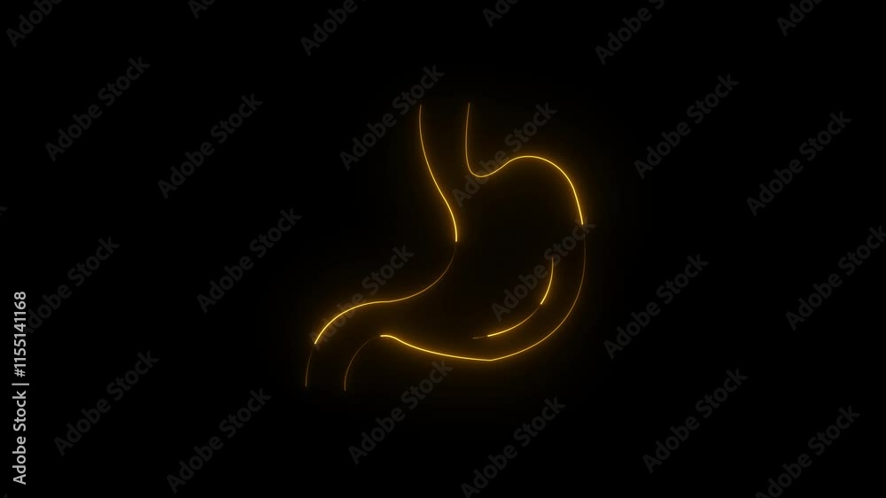 Human Stomach symbol animation with glowing neon line Human Stomach symbol animation with glowing neon line