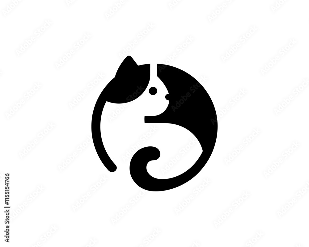 black and white cat black and white cat