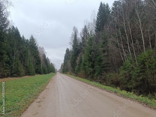 Forest in Siauliai county during cloudy autumn day. Oak and birch tree woodland. Cloudy day with white clouds in blue sky. Bushes are growing in woods. Nature. Fall season. Miskas. photo