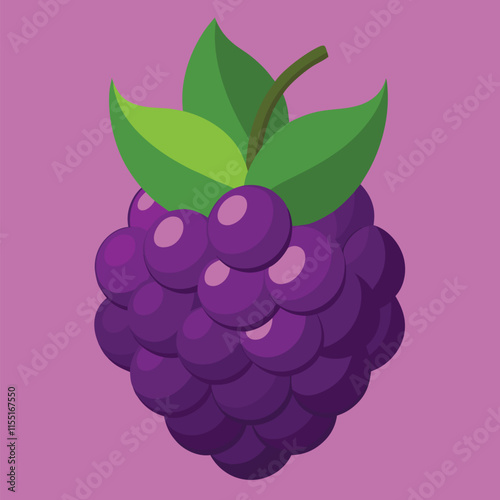Sweet blackberries vector realistic blackberry, bramble, dewberry illustration