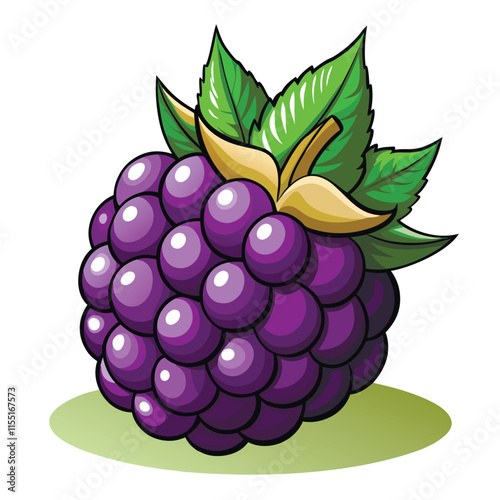 Sweet blackberries vector realistic blackberry, bramble, dewberry illustration