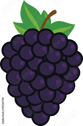 Sweet blackberries vector realistic blackberry, bramble, dewberry illustration