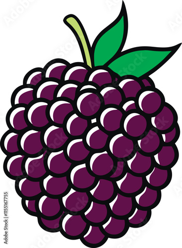 Sweet blackberries vector realistic blackberry, bramble, dewberry illustration