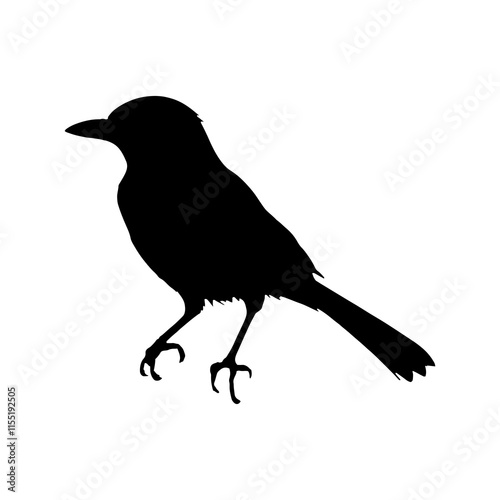 Florida scrub joy silhouette vector illustration design on white  background.