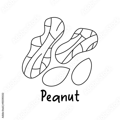 Peanut. Healthy organic food, nuts. Products for snack. Line icons. Hand drawn sketches, doodle, vector illustration.