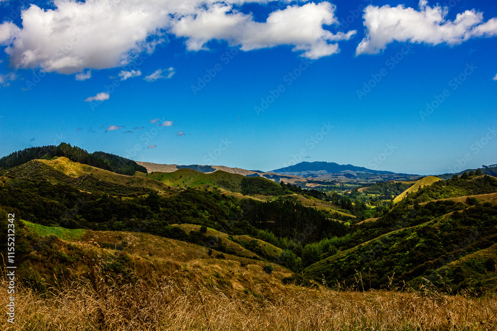 Obraz premium Beautiful mountain landscape in summer. Green rolling hills and distant wind turbines. Waikato, New Zealand
