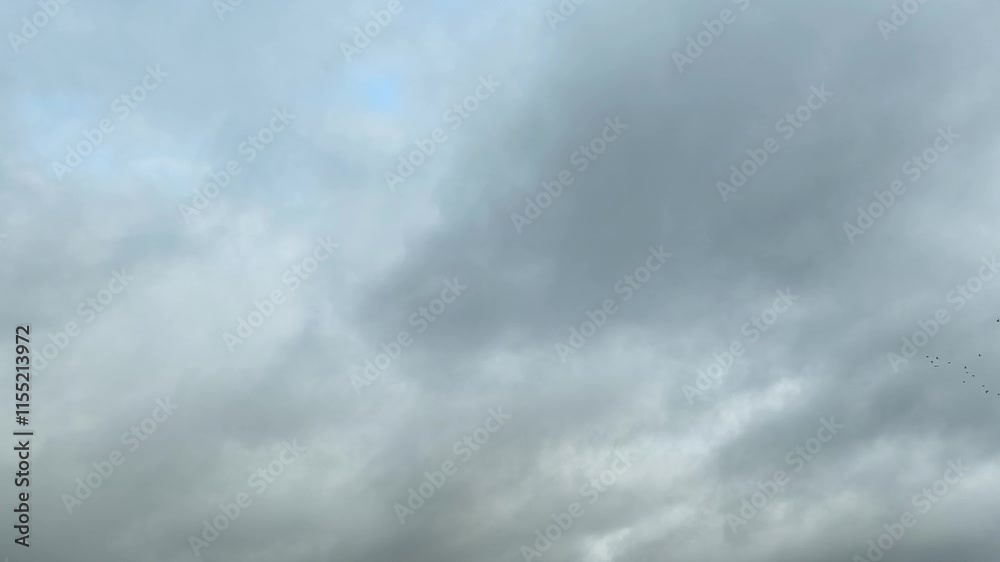 Stratocumulus clouds become brighter Stratocumulus clouds become brighter