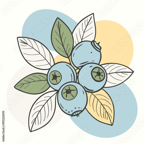 blueberry fruit cute repeat in square background, illustration fruit