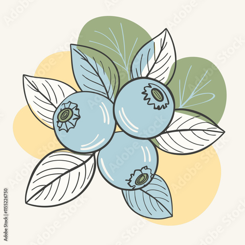 blueberry fruit cute repeat in square background, illustration fruit