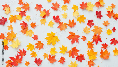 Scattered colorful red, orange and yellow fall maple leaves background. Colors of gold autumn. Seasonal decoration concept.