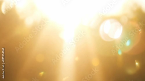 Stunning Natural Lens Flare Light Effect Overlay for Bright Backgrounds